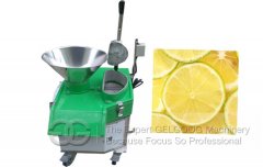 Fruit Vegetable Slicer Machine GG-311