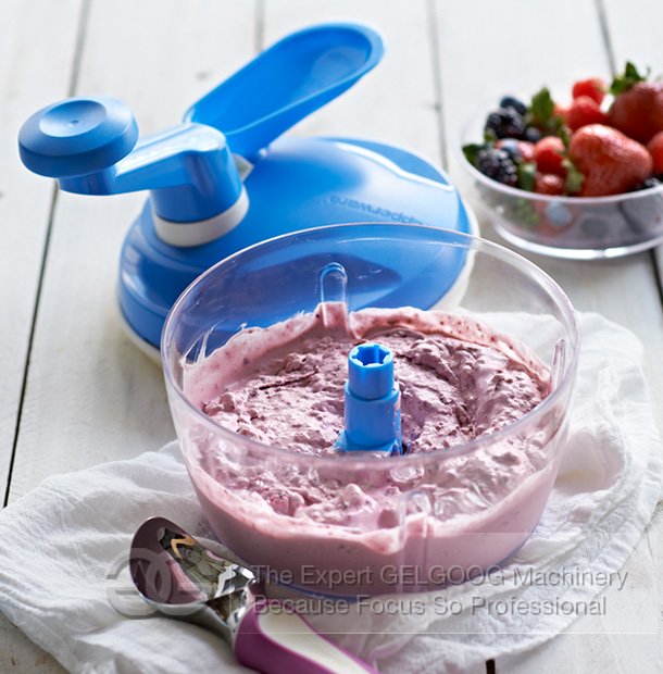 MAKE YOUR OWN FLAVOR HOMEMADE ICE CREAM